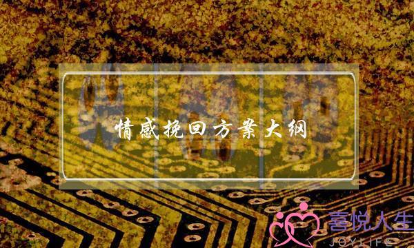 情感挽回方案大纲-泡学网-喜悦人生,挽回婚姻,分手挽回,经验婚姻,情感挽回,情感咨询,分离小三,泡学书籍