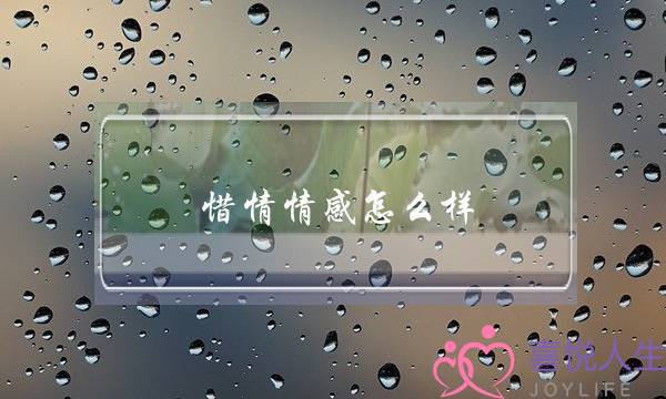 惜情情感怎么样，可靠吗？(一段难舍的情感)-泡学网-喜悦人生,挽回婚姻,分手挽回,经验婚姻,情感挽回,情感咨询,分离小三,泡学书籍