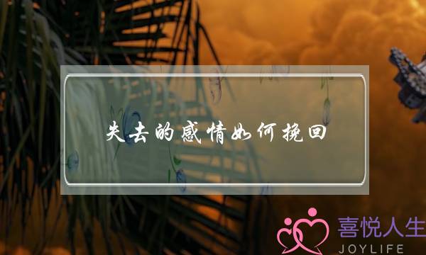 失去的感情如何挽回(如何挽回我们的感情)-泡学网-喜悦人生,挽回婚姻,分手挽回,经验婚姻,情感挽回,情感咨询,分离小三,泡学书籍