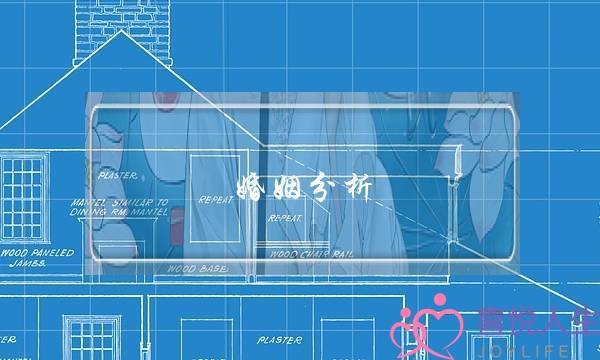 婚姻分析(婚姻分析师)-泡学网-喜悦人生,挽回婚姻,分手挽回,经验婚姻,情感挽回,情感咨询,分离小三,泡学书籍