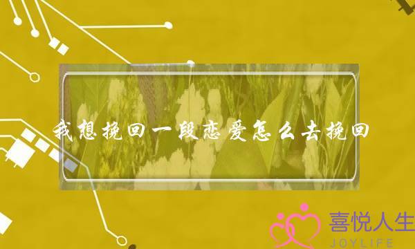 我想挽回一段恋爱怎么去挽回-泡学网-喜悦人生,挽回婚姻,分手挽回,经验婚姻,情感挽回,情感咨询,分离小三,泡学书籍