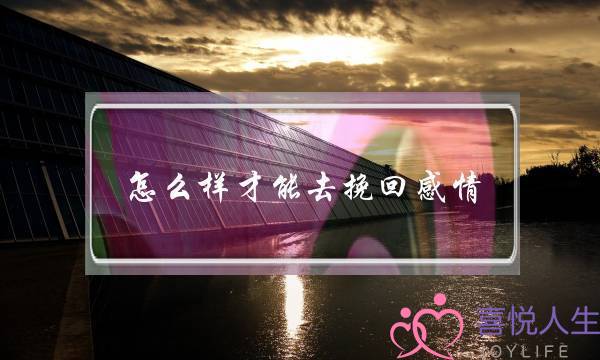 怎么样才能去挽回感情(怎么样才能挽回夫妻的感情)-泡学网-喜悦人生,挽回婚姻,分手挽回,经验婚姻,情感挽回,情感咨询,分离小三,泡学书籍