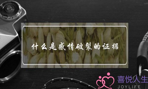 什么是感情破裂的证据？-泡学网-喜悦人生,挽回婚姻,分手挽回,经验婚姻,情感挽回,情感咨询,分离小三,泡学书籍