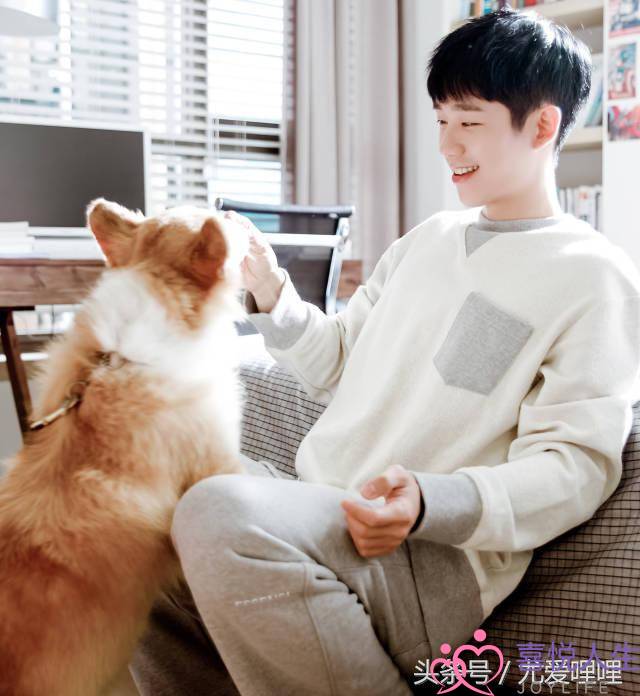 情感挽回师木木(挽回中一定要懂的4大知识点之四)-泡学网-喜悦人生,挽回婚姻,分手挽回,经验婚姻,情感挽回,情感咨询,分离小三,泡学书籍