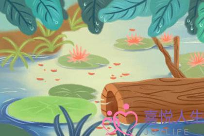 实战分离小三的机构可靠吗？-泡学网-喜悦人生,挽回婚姻,分手挽回,经验婚姻,情感挽回,情感咨询,分离小三,泡学书籍