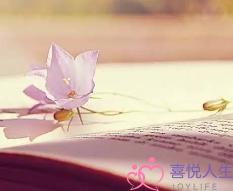 婚姻三个基础信任(婚姻的基础不是爱)-泡学网-喜悦人生,挽回婚姻,分手挽回,经验婚姻,情感挽回,情感咨询,分离小三,泡学书籍