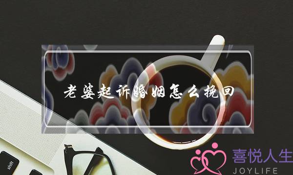 老婆起诉婚姻怎么挽回(老婆要起诉离婚了怎么挽回婚姻)-泡学网-喜悦人生,挽回婚姻,分手挽回,经验婚姻,情感挽回,情感咨询,分离小三,泡学书籍