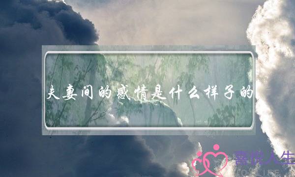 夫妻间的感情是什么样子的-泡学网-喜悦人生,挽回婚姻,分手挽回,经验婚姻,情感挽回,情感咨询,分离小三,泡学书籍