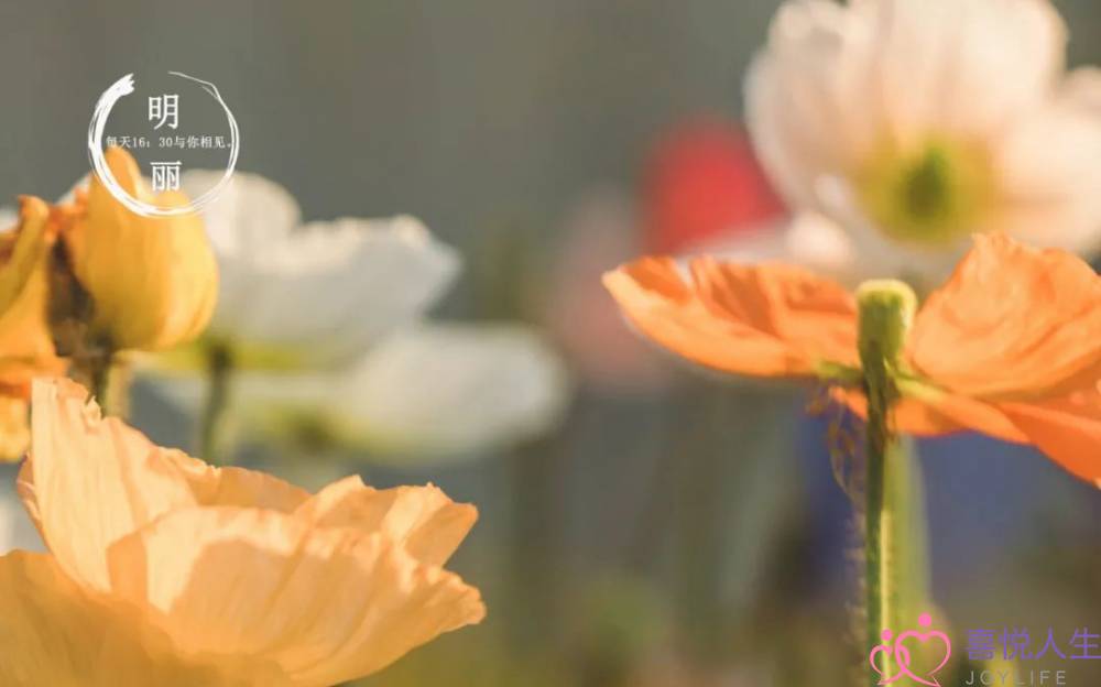 男人出轨不回头原因只有一个 原谅出轨老公无数次-泡学网-喜悦人生,挽回婚姻,分手挽回,经验婚姻,情感挽回,情感咨询,分离小三,泡学书籍