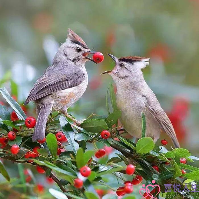 人心太假太虚伪的句子（人心太假太虚伪的说说）-泡学网-喜悦人生,挽回婚姻,分手挽回,经验婚姻,情感挽回,情感咨询,分离小三,泡学书籍
