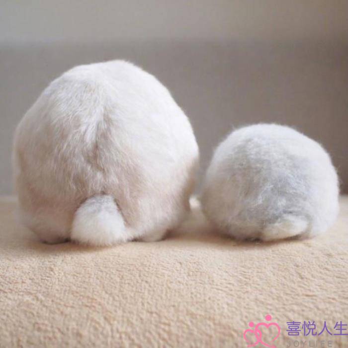 搞笑个人签名（微信上搞笑的18句个性签名）-泡学网-喜悦人生,挽回婚姻,分手挽回,经验婚姻,情感挽回,情感咨询,分离小三,泡学书籍