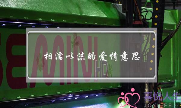 相濡以沫的爱情意思,相濡以沫爱情唯美古诗-泡学网-喜悦人生,挽回婚姻,分手挽回,经验婚姻,情感挽回,情感咨询,分离小三,泡学书籍