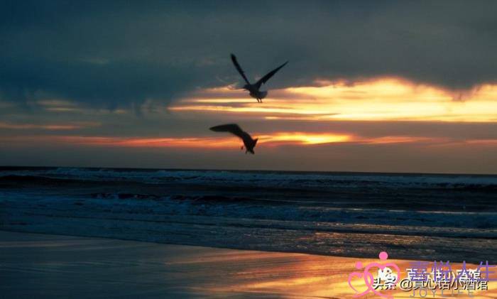 喜欢一个女生要怎么去追，怎么样才可以快速追上一个女生-泡学网-喜悦人生,挽回婚姻,分手挽回,经验婚姻,情感挽回,情感咨询,分离小三,泡学书籍
