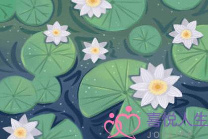 最看重物质的星座情侣档-泡学网-喜悦人生,挽回婚姻,分手挽回,经验婚姻,情感挽回,情感咨询,分离小三,泡学书籍