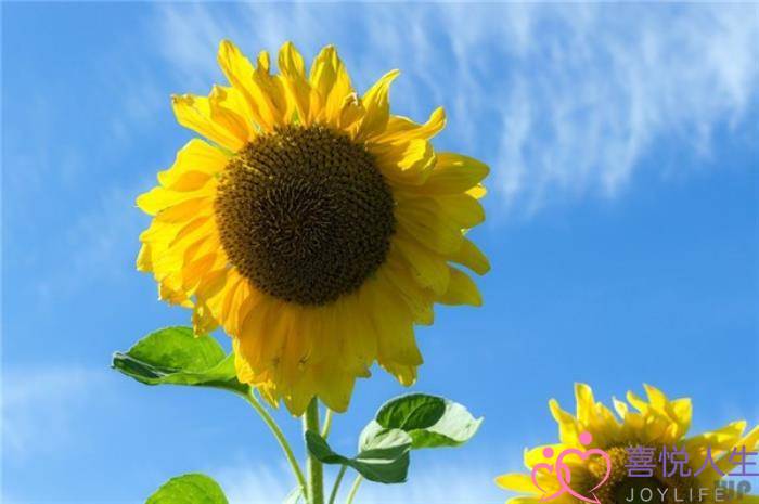 一句走心签名，一句话心情签名的说说-泡学网-喜悦人生,挽回婚姻,分手挽回,经验婚姻,情感挽回,情感咨询,分离小三,泡学书籍