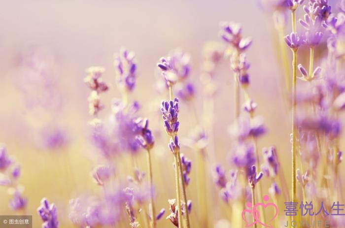 不再流泪的女人，委屈的女人不再流泪-泡学网-喜悦人生,挽回婚姻,分手挽回,经验婚姻,情感挽回,情感咨询,分离小三,泡学书籍