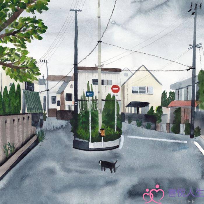 婆媳关系不好怎么办（婆媳关系不和怎么办）-泡学网-喜悦人生,挽回婚姻,分手挽回,经验婚姻,情感挽回,情感咨询,分离小三,泡学书籍