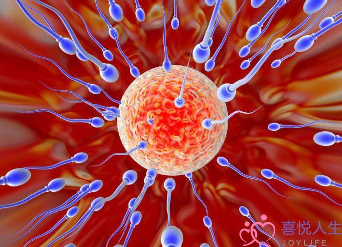 怀孕是怎么怀上的-(怀孕的艰辛旁人难以体会)-泡学网-喜悦人生,挽回婚姻,分手挽回,经验婚姻,情感挽回,情感咨询,分离小三,泡学书籍