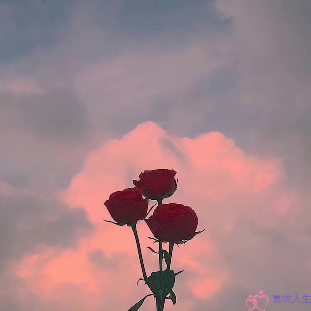 发现老婆有外遇最明智的怎么办(发现妻子出轨怎么办)-泡学网-喜悦人生,挽回婚姻,分手挽回,经验婚姻,情感挽回,情感咨询,分离小三,泡学书籍