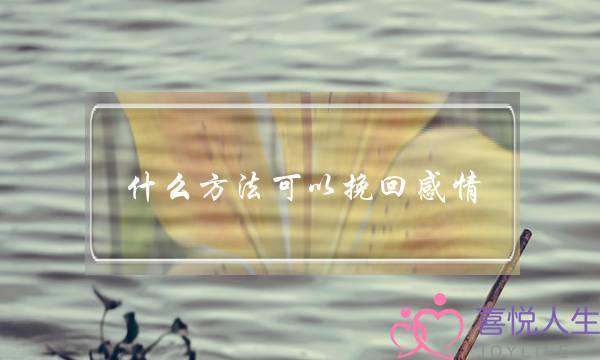 什么方法可以挽回感情(如何挽回一段感情方法)-泡学网-喜悦人生,挽回婚姻,分手挽回,经验婚姻,情感挽回,情感咨询,分离小三,泡学书籍