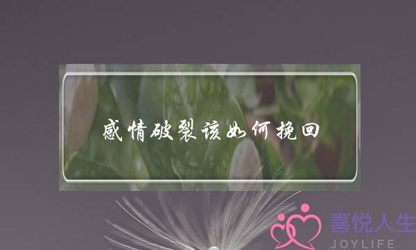 感情破裂该如何挽回(感情破裂了还能挽回吗)-泡学网-喜悦人生,挽回婚姻,分手挽回,经验婚姻,情感挽回,情感咨询,分离小三,泡学书籍