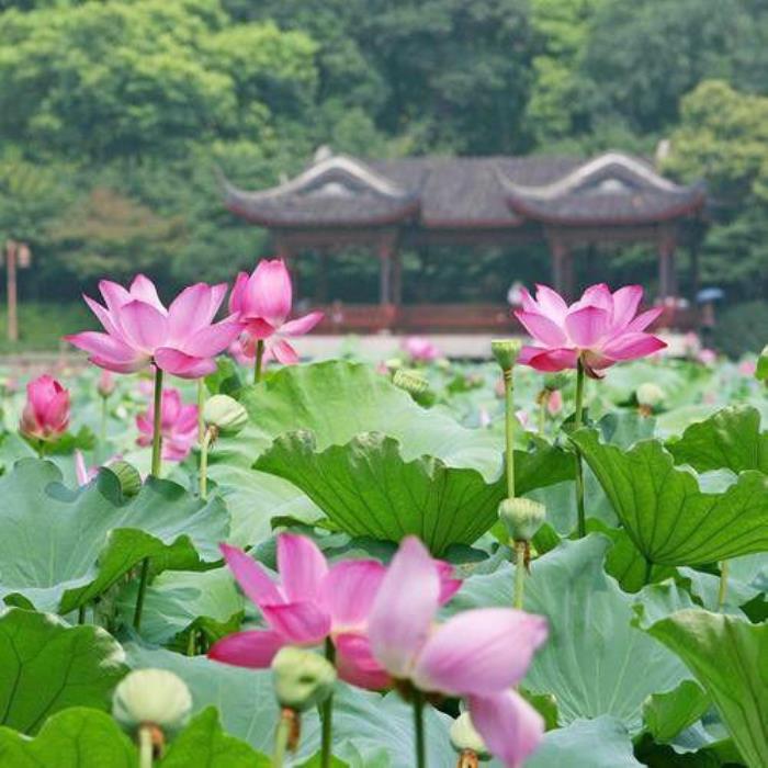 婚外情人怎么称呼男方(现在流行这3种称呼)-泡学网-喜悦人生,挽回婚姻,分手挽回,经验婚姻,情感挽回,情感咨询,分离小三,泡学书籍