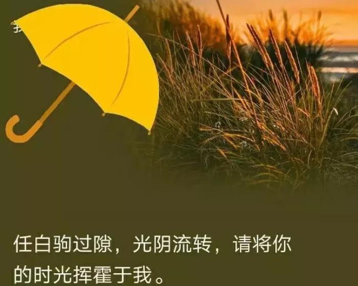 微信语录（最近微信很火的一句话经典语录）-泡学网-喜悦人生,挽回婚姻,分手挽回,经验婚姻,情感挽回,情感咨询,分离小三,泡学书籍