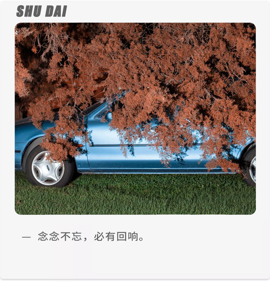 挽回婚姻短信(如何用一则短信完成你们之间的破冰之旅)-泡学网-喜悦人生,挽回婚姻,分手挽回,经验婚姻,情感挽回,情感咨询,分离小三,泡学书籍