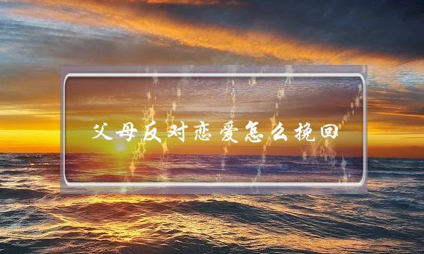 父母反对恋爱怎么挽回(男友父母反对分手挽回)-泡学网-喜悦人生,挽回婚姻,分手挽回,经验婚姻,情感挽回,情感咨询,分离小三,泡学书籍