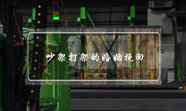 吵架打架的婚姻挽回(总是吵架打架的婚姻)-泡学网-喜悦人生,挽回婚姻,分手挽回,经验婚姻,情感挽回,情感咨询,分离小三,泡学书籍