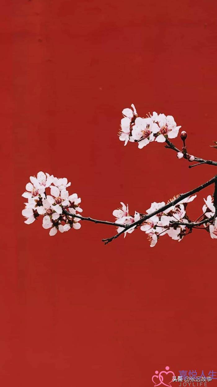 二婚都怎么分配生活费（二婚中的财产怎样分配比较好）-泡学网-喜悦人生,挽回婚姻,分手挽回,经验婚姻,情感挽回,情感咨询,分离小三,泡学书籍