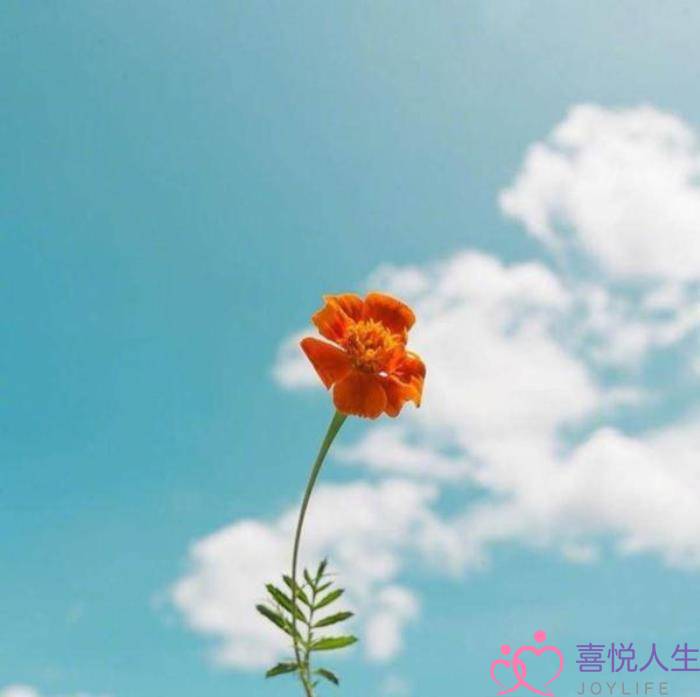 心情短语（写给自己的心情短语句子）-泡学网-喜悦人生,挽回婚姻,分手挽回,经验婚姻,情感挽回,情感咨询,分离小三,泡学书籍