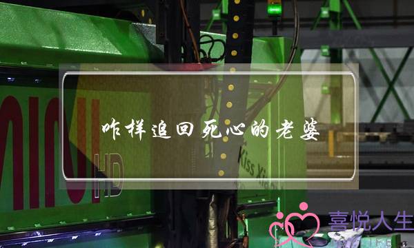 咋样追回死心的老婆(怎么把死心的老婆追回来)-泡学网-喜悦人生,挽回婚姻,分手挽回,经验婚姻,情感挽回,情感咨询,分离小三,泡学书籍