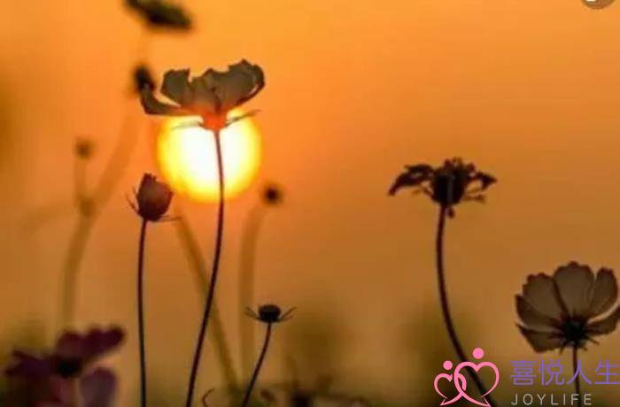 忍受妻子出轨男人的心理（男人选择原谅时的心理活动）-泡学网-喜悦人生,挽回婚姻,分手挽回,经验婚姻,情感挽回,情感咨询,分离小三,泡学书籍