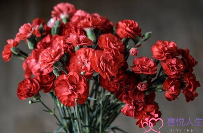 怎样走出婚外情分手的痛苦（结束了却走不出痛苦放手婚外恋）-泡学网-喜悦人生,挽回婚姻,分手挽回,经验婚姻,情感挽回,情感咨询,分离小三,泡学书籍