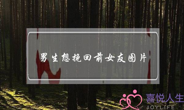 男生想挽回前女友图片(想挽回前女友的图片)-泡学网-喜悦人生,挽回婚姻,分手挽回,经验婚姻,情感挽回,情感咨询,分离小三,泡学书籍