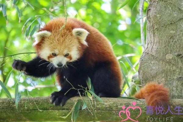 彻底死心的男人能挽回吗，男人死心不爱了还能挽回吗-泡学网-喜悦人生,挽回婚姻,分手挽回,经验婚姻,情感挽回,情感咨询,分离小三,泡学书籍