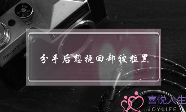 分手后想挽回却被拉黑(分手后想挽回的)-泡学网-喜悦人生,挽回婚姻,分手挽回,经验婚姻,情感挽回,情感咨询,分离小三,泡学书籍