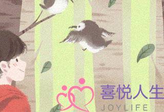 切记！这些星座男人只能喜欢不能爱-泡学网-喜悦人生,挽回婚姻,分手挽回,经验婚姻,情感挽回,情感咨询,分离小三,泡学书籍