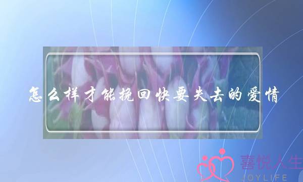 怎么样才能挽回快要失去的爱情-泡学网-喜悦人生,挽回婚姻,分手挽回,经验婚姻,情感挽回,情感咨询,分离小三,泡学书籍