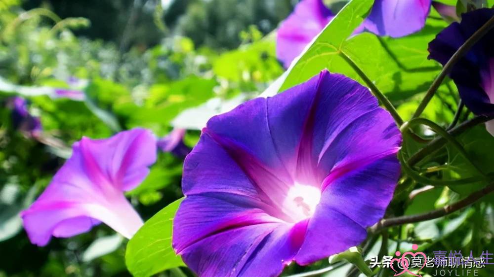 出轨的老婆怎么挽回(妻子出轨的原因)-泡学网-喜悦人生,挽回婚姻,分手挽回,经验婚姻,情感挽回,情感咨询,分离小三,泡学书籍