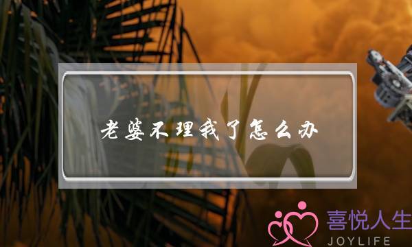 老婆不理我了怎么办(老婆生气了不理我我该怎么办)-泡学网-喜悦人生,挽回婚姻,分手挽回,经验婚姻,情感挽回,情感咨询,分离小三,泡学书籍