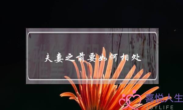 夫妻之前要如何相处，才能不离婚-泡学网-喜悦人生,挽回婚姻,分手挽回,经验婚姻,情感挽回,情感咨询,分离小三,泡学书籍