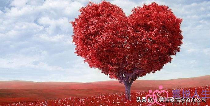 免费感情咨询网(在线婚姻情感咨询)-泡学网-喜悦人生,挽回婚姻,分手挽回,经验婚姻,情感挽回,情感咨询,分离小三,泡学书籍