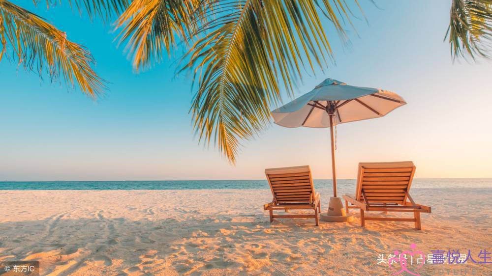 白羊座和狮子座配吗 白羊座和狮子座百分百绝配-泡学网-喜悦人生,挽回婚姻,分手挽回,经验婚姻,情感挽回,情感咨询,分离小三,泡学书籍