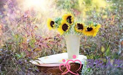 情感挽回分析师签名(挽回爱情金句)-泡学网-喜悦人生,挽回婚姻,分手挽回,经验婚姻,情感挽回,情感咨询,分离小三,泡学书籍