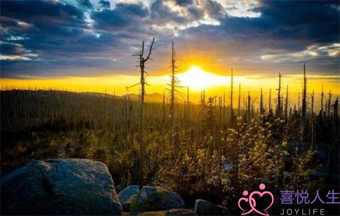 女富男穷的婚姻会幸福吗（女富男穷的婚姻幸福吗）-泡学网-喜悦人生,挽回婚姻,分手挽回,经验婚姻,情感挽回,情感咨询,分离小三,泡学书籍