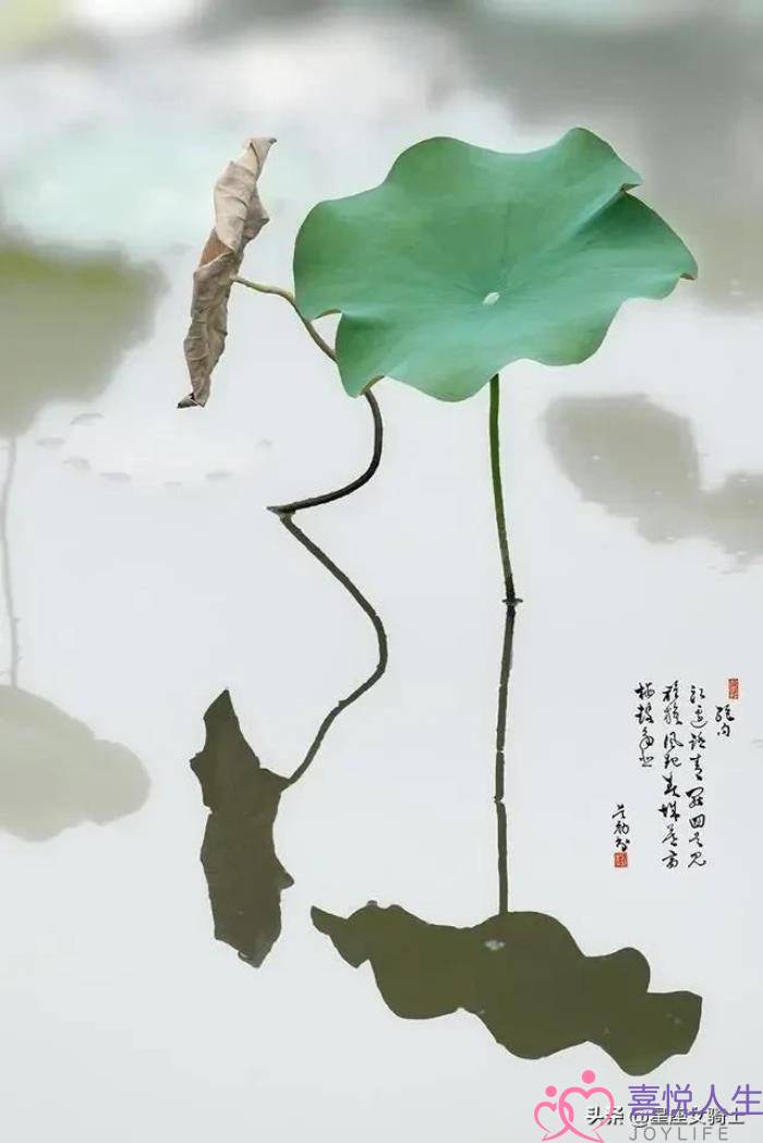 天蝎女和处女男，处女男和十二星座女的关系-泡学网-喜悦人生,挽回婚姻,分手挽回,经验婚姻,情感挽回,情感咨询,分离小三,泡学书籍