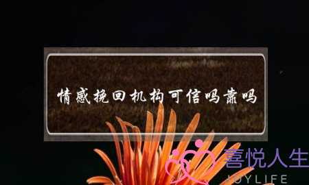 女人出轨不承认怎么办-泡学网-喜悦人生,挽回婚姻,分手挽回,经验婚姻,情感挽回,情感咨询,分离小三,泡学书籍