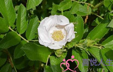 天气好心情好的短句子（心情很好的阳光句子）-泡学网-喜悦人生,挽回婚姻,分手挽回,经验婚姻,情感挽回,情感咨询,分离小三,泡学书籍